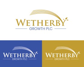 Wetherby Growth plc entry by Eddie Hormachuelas 