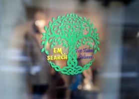 EM Search entry by cyber