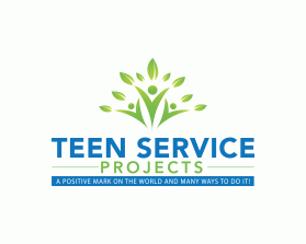Winning entry: Teen Service Projects.org entry by dsdezign