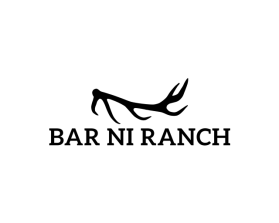 Bar NI Ranch entry by Fathenry
