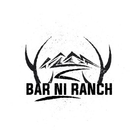 Bar NI Ranch entry by morearts