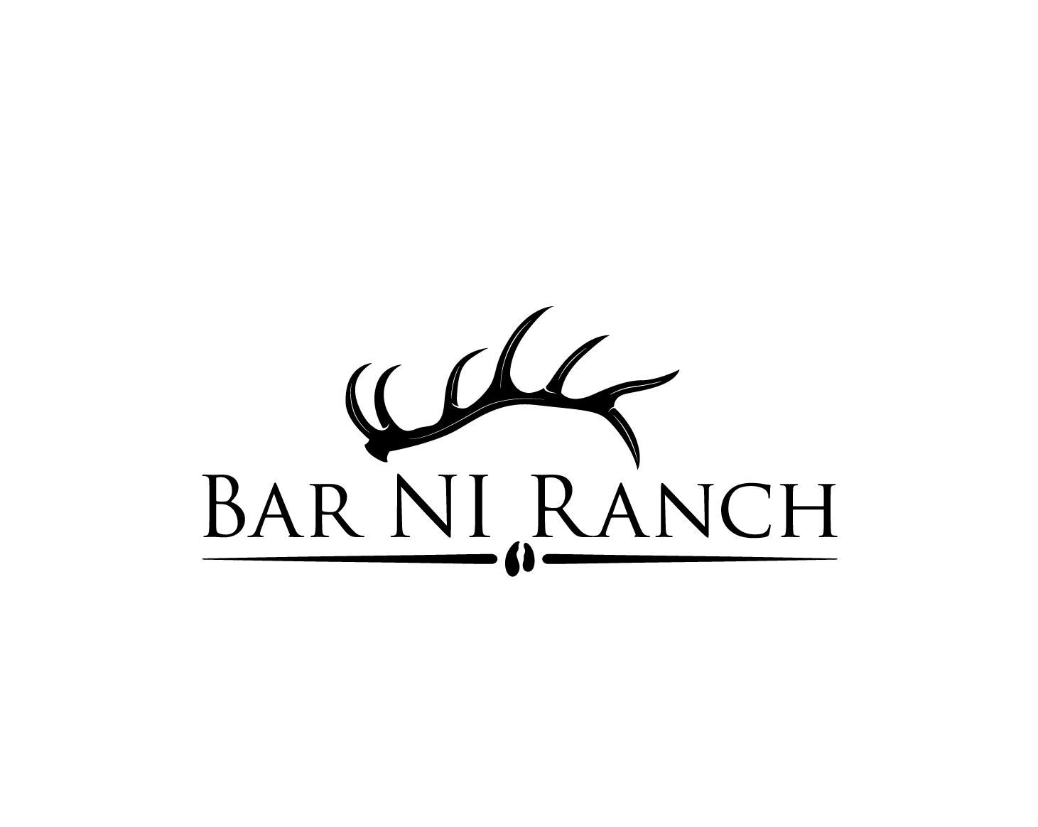 Logo Design for Bar NI Ranch