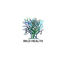 Wild Health entry by Abidin
