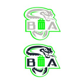 BOA JUNK REMOVAL entry by balsh