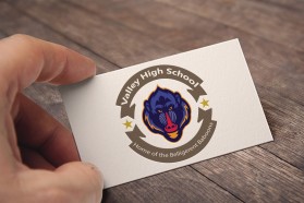 Valley High School entry by ibrahimkhan99908@gmail.com