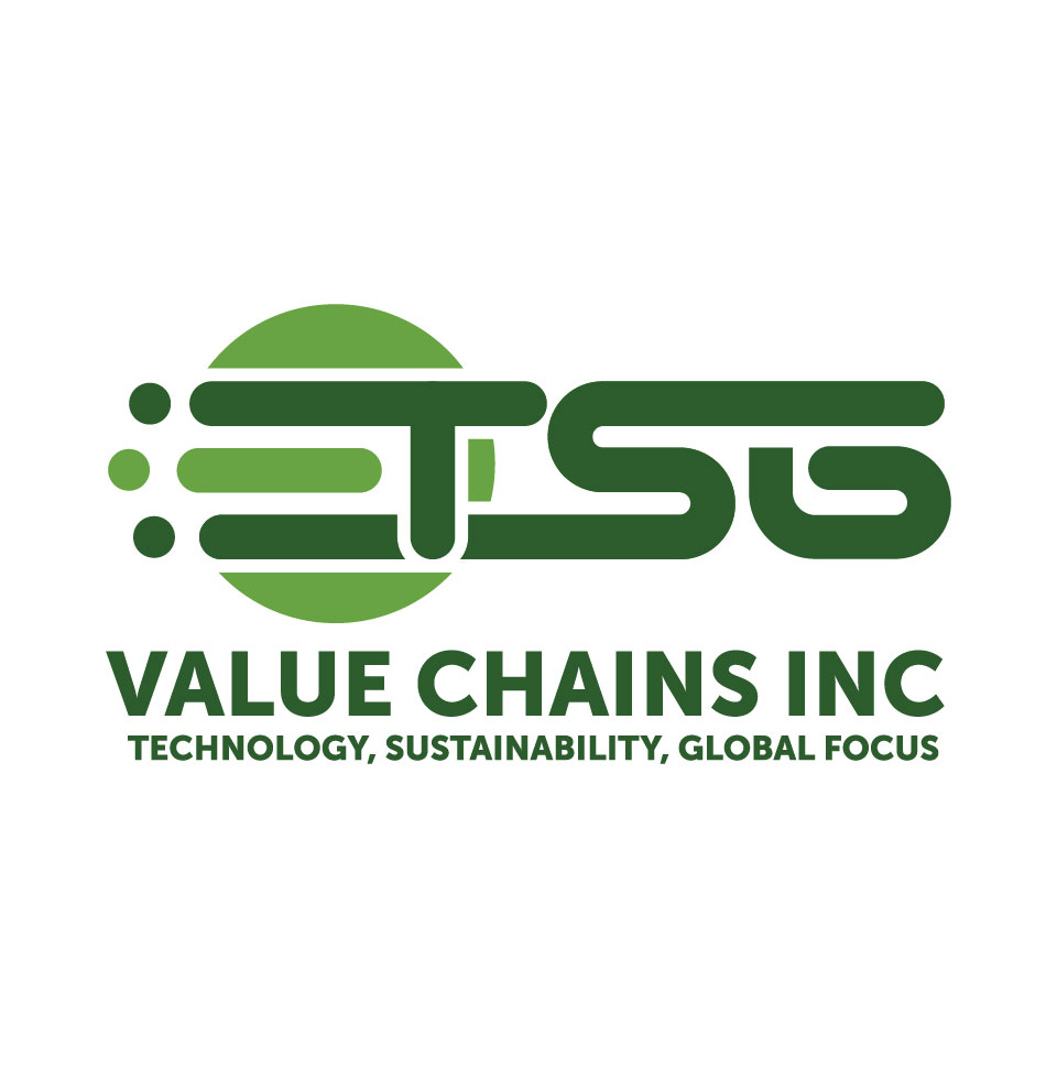 Logo Design for TSG Value Chains Inc