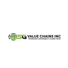 TSG Value Chains Inc entry by morearts