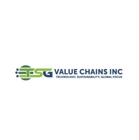 TSG Value Chains Inc entry by morearts