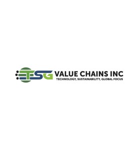 TSG Value Chains Inc entry by morearts