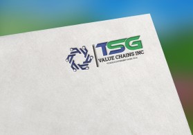 TSG Value Chains Inc entry by ibrahimkhan99908@gmail.com