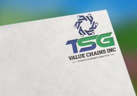 TSG Value Chains Inc entry by ibrahimkhan99908@gmail.com