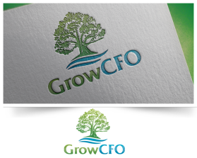 GrowCFO entry by alex.projector