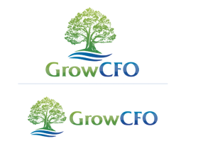 GrowCFO entry by alex.projector