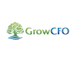 GrowCFO entry by alex.projector