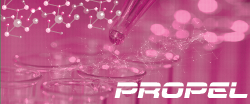 Propel entry by balsh