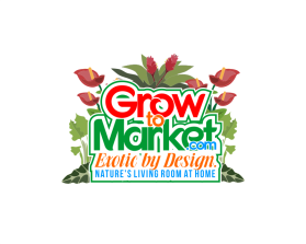 www.growtomarket.com entry by krammkvli
