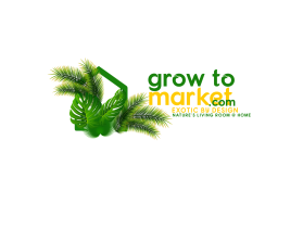 www.growtomarket.com entry by aymenfcb