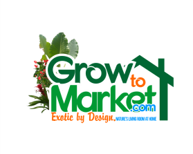 www.growtomarket.com entry by krammkvli