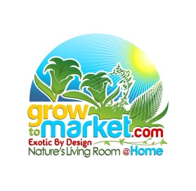 www.growtomarket.com entry by WoAdek