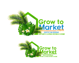 www.growtomarket.com entry by aymenfcb