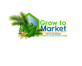 www.growtomarket.com entry by aymenfcb