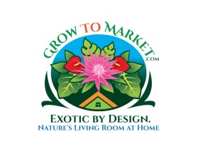 www.growtomarket.com entry by max001