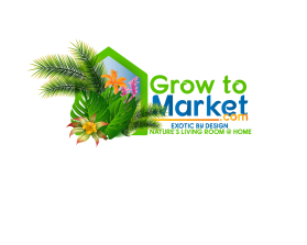 www.growtomarket.com entry by aymenfcb