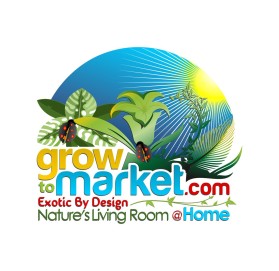 www.growtomarket.com entry by WoAdek