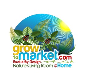 www.growtomarket.com entry by WoAdek
