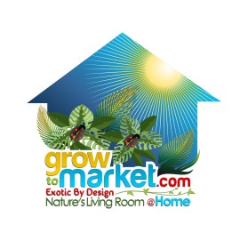 www.growtomarket.com entry by WoAdek