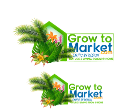 www.growtomarket.com entry by aymenfcb