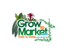 www.growtomarket.com entry by krammkvli