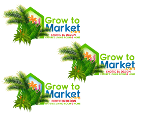 www.growtomarket.com entry by aymenfcb