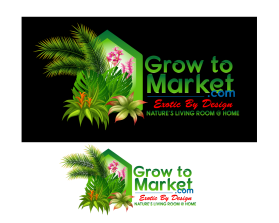 www.growtomarket.com entry by aymenfcb