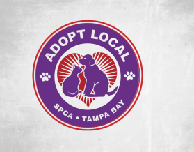 SPCA Tampa Bay entry by alex.projector