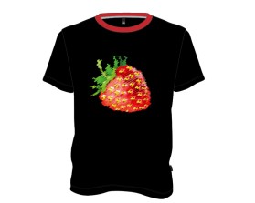 California Strawberry Festival - https://castrawberryfestival.org/ entry by RGR design