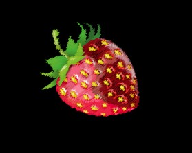 California Strawberry Festival - https://castrawberryfestival.org/ entry by RGR design