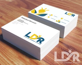 LDR entry by riffa14
