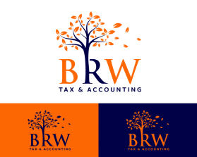 BRW Tax &amp; Accounting entry by Anglo Saxon