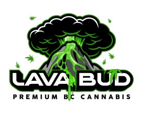 LAVA BUD entry by Digiti Minimi