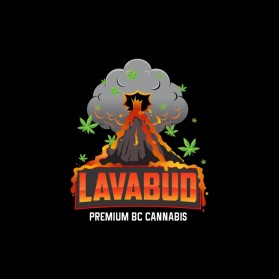 LAVA BUD entry by paragraphikadesigns