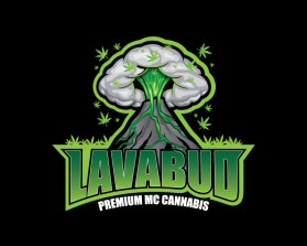 LAVA BUD entry by jinko