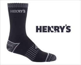 Henry's entry by nirajdhivaryahoocoin