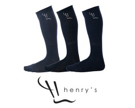 Henry's entry by quimcey