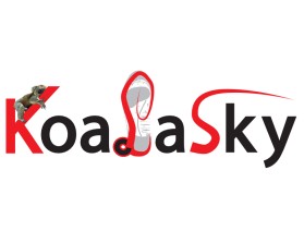 koalasky entry by akshay