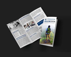 Brochure Design entry 1689948 submitted by Amit1991