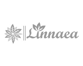 Linnaea entry by kawulo alit
