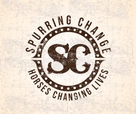Spurring Change entry by Ahmad Sanusi