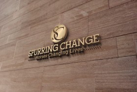 Spurring Change entry by MD. MIZANUR ROHMAN