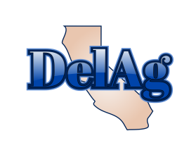 DelAg  entry by Buinessshoes